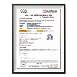  SGS Supplier Assessment Report 