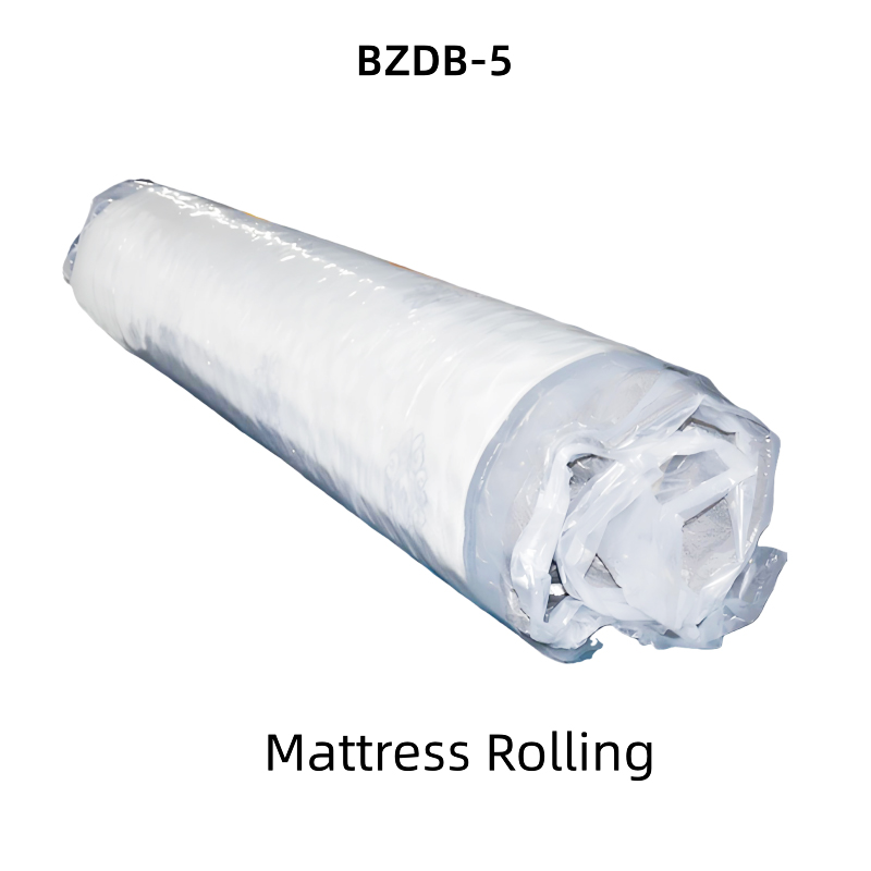 BZDB-D3