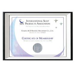  ISPA Membership Certificate 